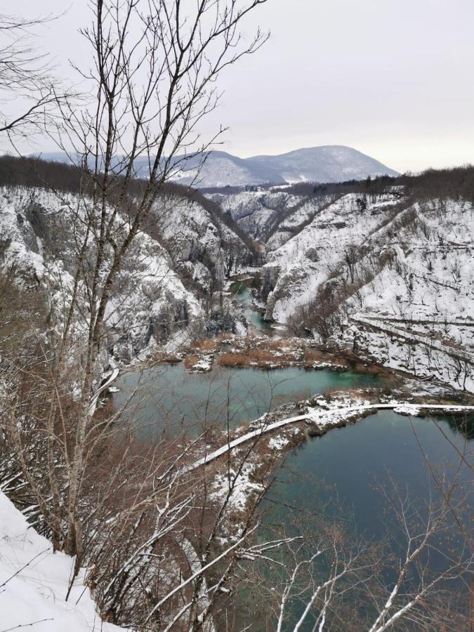 Guesthouse Blazenka Hodak เซลิสเต เดรซิสโก ภายนอก รูปภาพ