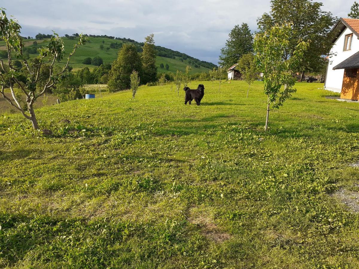 Guesthouse Blazenka Hodak เซลิสเต เดรซิสโก ภายนอก รูปภาพ
