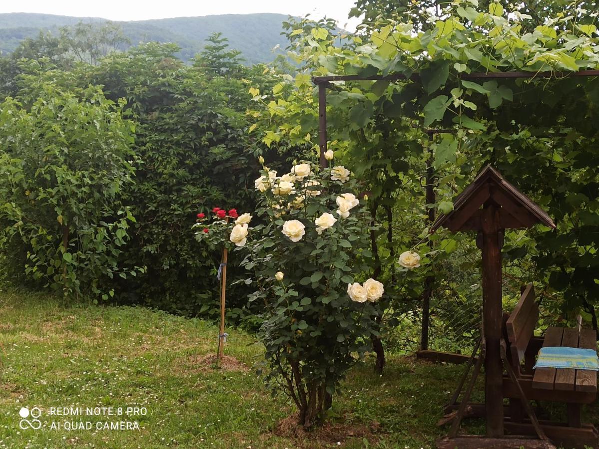 Guesthouse Blazenka Hodak เซลิสเต เดรซิสโก ภายนอก รูปภาพ