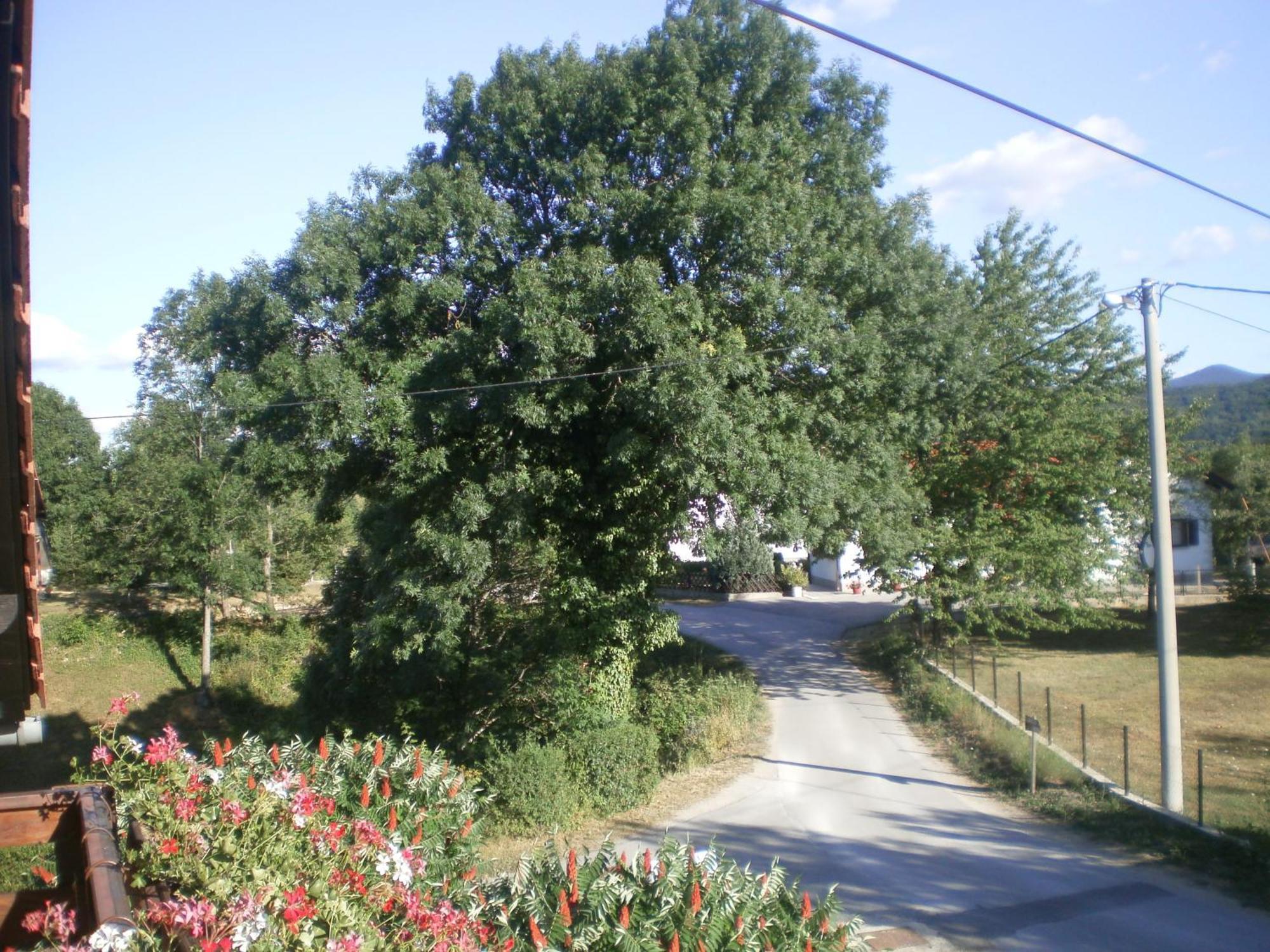 Guesthouse Blazenka Hodak เซลิสเต เดรซิสโก ภายนอก รูปภาพ