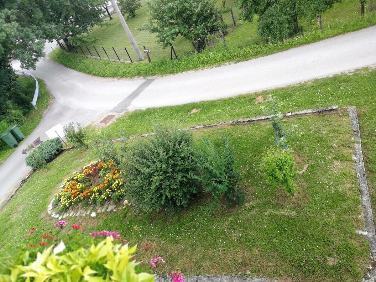 Guesthouse Blazenka Hodak เซลิสเต เดรซิสโก ภายนอก รูปภาพ
