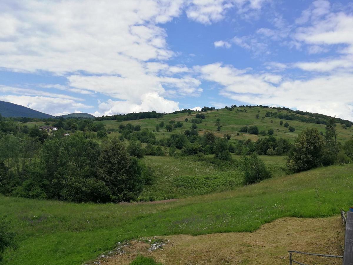 Guesthouse Blazenka Hodak เซลิสเต เดรซิสโก ภายนอก รูปภาพ