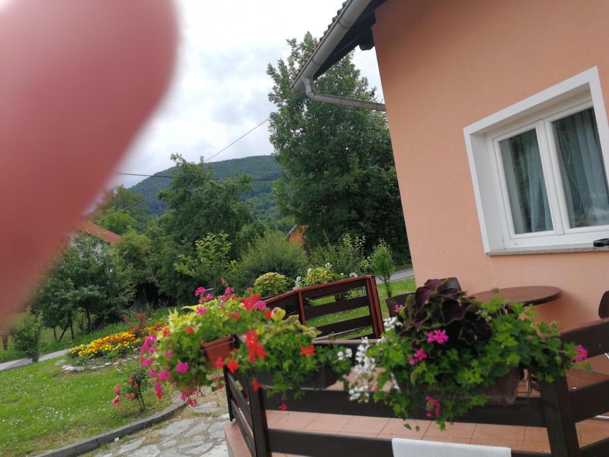Guesthouse Blazenka Hodak เซลิสเต เดรซิสโก ภายนอก รูปภาพ